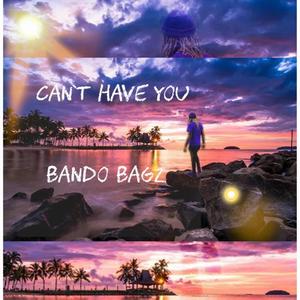 Can't Have You (Explicit)