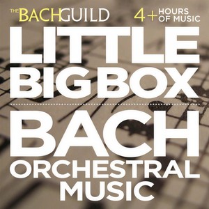 Concerto in A Minor for Flute, Violin and Harpsichord, BWV 1044: iii. Tempo di alla breve