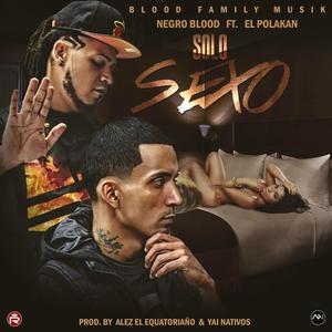 Solo sexo