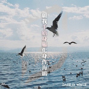 愿我千疮身躯化身作海鸥