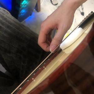 two tiger under the neonlight