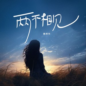 两不相见 (伴奏)