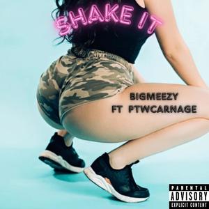 Shake It (Explicit)