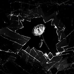 Ride or Die (feat. insecurekid_) (Explicit)