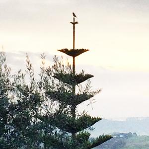 Sol y Luna (Explicit)