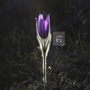 소녀의 기도 (少女的祈祷)