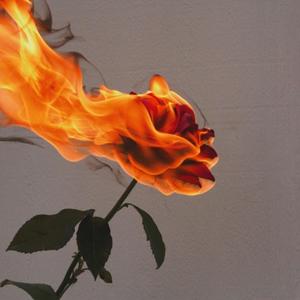 Right Now (feat. Imani Maria)