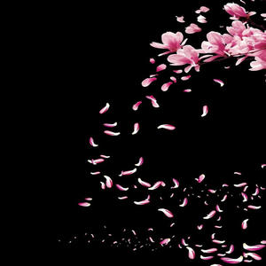sabishii sakura
