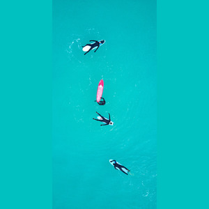 姑娘，今夜我不想睡觉，只想睡你。