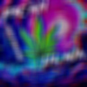 W33D SH0PPING (feat. LIL AJA) (Explicit)