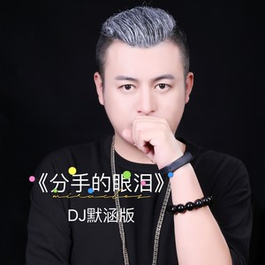 分手的眼泪 (DJ默涵版伴奏)