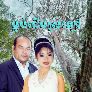 ម្លប់ដើមស្រឡៅ