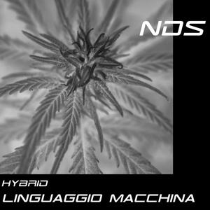 Linguaggio Macchina - Hybrid