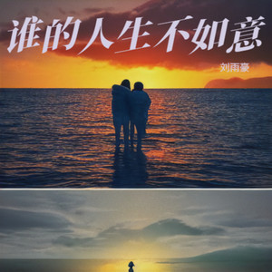 谁的人生不如意