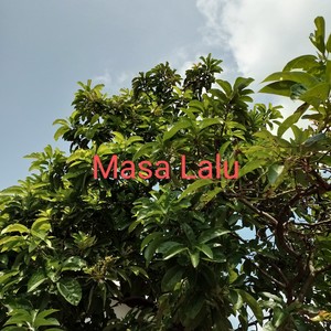 Masa Lalu