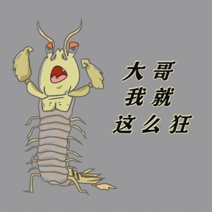 大哥我就这么狂