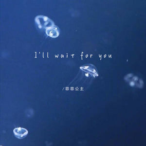 I'll wait for you-菲菲公主（陆绮菲）