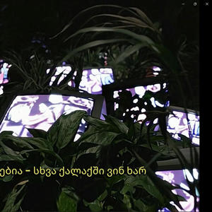 sxva qalaqshi mgvidzavs