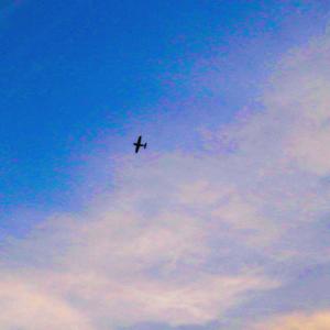 Life(feat. G. Rosa & Yake)