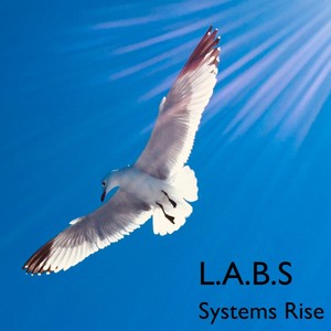 Systems Rise