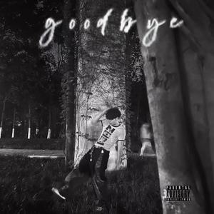 Goodbye(再见)