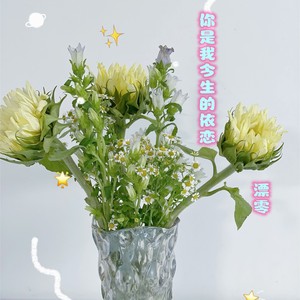 你是我今生的依恋 (伴奏)