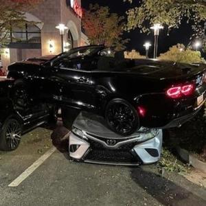 RIPPIN THROATS (Explicit)