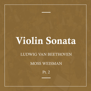 Violin Sonata No.9 In A, Op.47 - II. Andante con variazioni (第二乐章 变奏式行板)