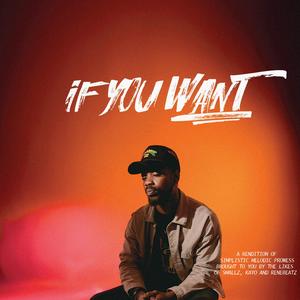 If You Want (feat. Kayo) (Explicit)