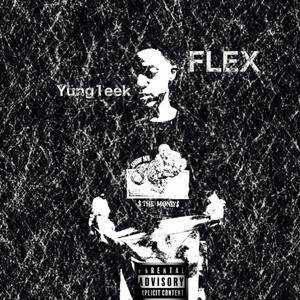 FLEX (Explicit)