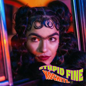 Stupid Fine