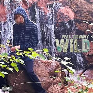 WILD (feat. KidWavy) [Explicit]