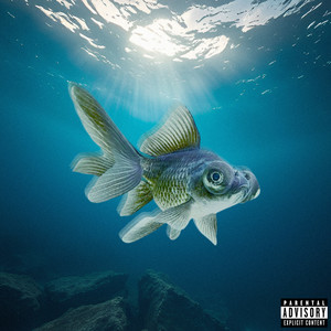 ryba teleskop (Explicit)