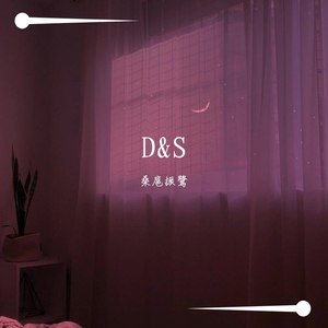 D&S