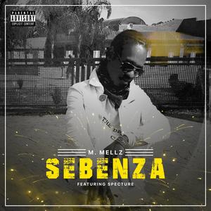 Sebenza (feat. Specture) (Explicit)