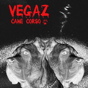 Cane Corso (Explicit)