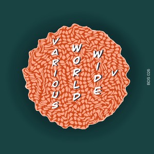 Domestic Cat (Club Version)