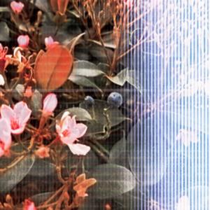 Weird Beat 2 Trauma Dump On (Explicit)