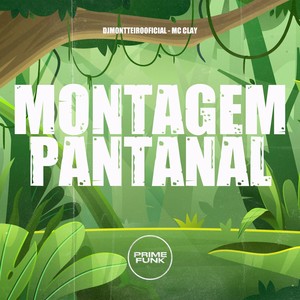 Montagem Pantanal (Explicit)
