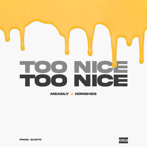 Too Nice (feat. Konshes) [Explicit]