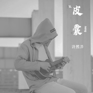皮囊 (Demo)