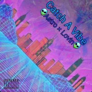 Catch a Vibe (feat. Mclovin) [Explicit]