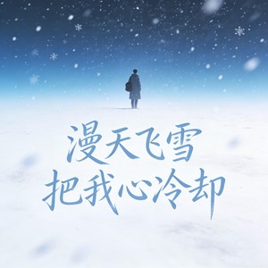 漫天飞雪把我心冷却 (就忘了吧好吗)封面