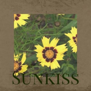 Sunkiss