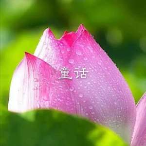 天籁传奇 (DJ版)