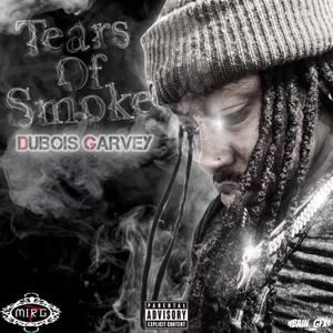 Lessons Learned(feat. Dj J.O, BGM Bally, Chris Voelker & Evii Nonchalant) (Explicit)