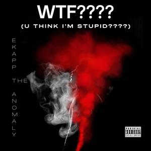 WTF???? (U THINK I"M STUPID????) [Explicit]