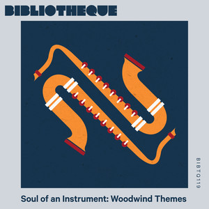 Soul of an Instrument: Woodwind Themes