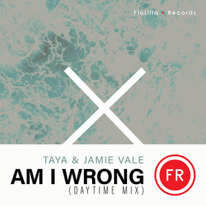 Am I Wrong (Daytime Extended Mix)
