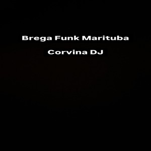 Brega Funk Marituba
